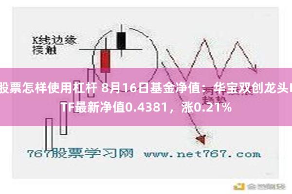 股票怎样使用杠杆 8月16日基金净值：华宝双创龙头ETF最新净值0.4381，涨0.21%